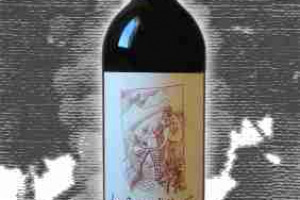 La Porta di Vertine Docg Chianti Classico