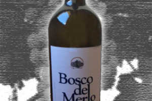 Bosco del Merlo Dop Lison Pramaggiore Sauvignon Blanc Terranio