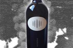 Cantina Tramin (Termeno) Dop Alto Adige Sauvignon Montan