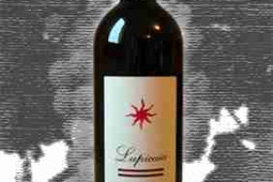 Castello del Terriccio Toscana Igt Lupicaia