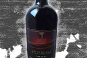 Cantine Due Palme Doc Salice Salentino Selvarossa Riserva