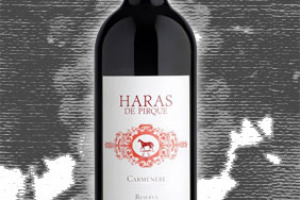 Haras de Pirque Maipo Valley Carmènere Reserva
