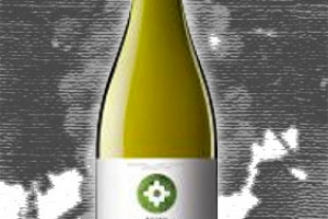 Torres Santa Digna Maquehua Valle de Curicó Reserva Gewürztraminer