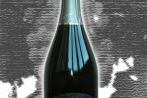 Majolini Docg Franciacorta Brut Electo