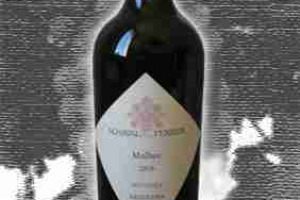 Achàval Ferrer Mendoza Malbec