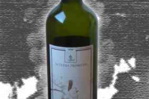 La Terra Promessa Rosa del Deserto