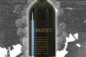 Stefano Accordini Dop Amarone della Valpolicella Classico Acinato