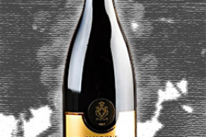 Bertani Dop Amarone della Valpolicella Valpantena Villa Arvedi