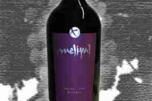 Melipal Mendoza Malbec Reserve