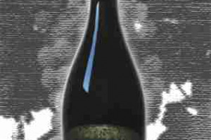 Dorigati - Vinicola Methius Doc Trento Brut Riserva Methius