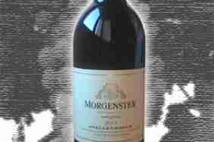 Morgenster Stellenbosch Cape of Good Hope