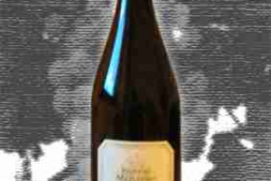 Nervi Docg Gattinara Vigneto Molsino