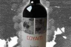 Emiliana Colchagua Valley Coyam