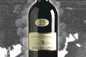 Arnaldo Caprai - Val di Maggio Sagrantino di Montefalco 25 Anni