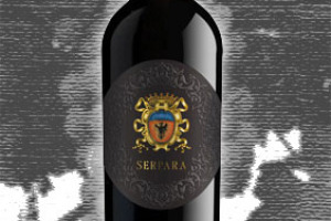 Terre degli Svevi Dop Aglianico del Vulture Re Manfredi