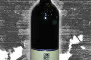 Vecchie Terre di Montefili Colli della Toscana Centrale Igt Bruno di Rocca