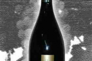 Feudi di San Gregorio Falanghina Metodo Classico Brut Dubl
