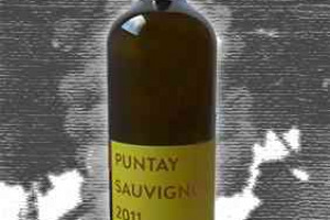 Erste+Neue Doc Alto Adige Sauvignon Puntay