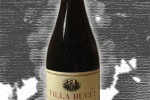 Villa Bucci Dop Rosso Piceno