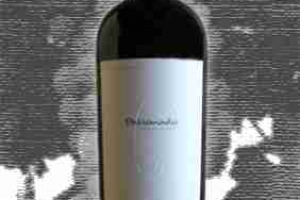 Andeluna Pasionado Grand Reserve