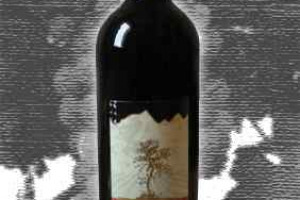 Vinedos Emiliana Punta Nogal Colchagua Valley Carmènére