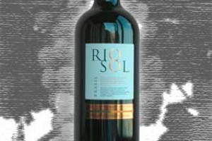 Vitivinicola Santa Maria Vale do São Francisco Rio Sol Vinho Fino Tinto Seco