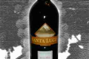 Santa Lucia Mendoza Malbec