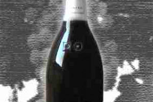 Contadi Castaldi Docg Franciacorta Brut Satèn