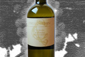 Collestefano Dop Verdicchio di Matelica