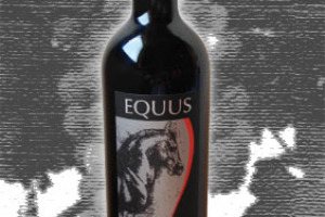 Vi&ntilde;a Haras de Pirque Maipo Valley Carm&eacute;n&egrave;re Equus