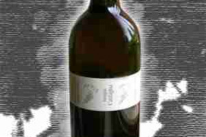 Altura Maremma Igt Ansonaco