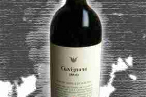 Fattoria di Ambra Vino da Tavola di Toscana Gavignano