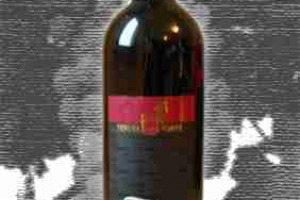 Tenuta Ponte Docg Taurasi