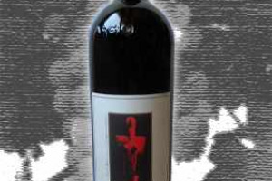 Argiolas Isola dei Nuraghi Igt Turriga