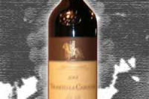 Castello di Ama Docg Chanti Classico Vigneto La Casuccia