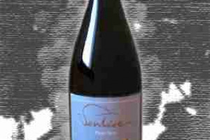 Il Rio Pinot Nero Igt Toscana Ventisei