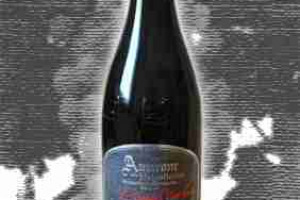 Venturini Doc Amarone della Valpolicella Campomasua