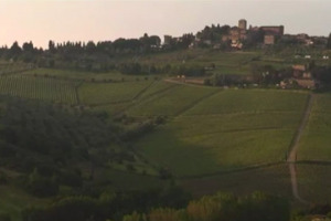 300 anni di Chianti Classico: passato e futuro raccontati da Zeffiro Ciuffoletti, dell&rsquo;Accademia dei Georgofili, dal dg e dal presidente del Consorzio del Gallo Nero Giuseppe Liberatore e Sergio Zingarelli, con un &ldquo;cameo&rdquo; del Premier Matteo Renzi