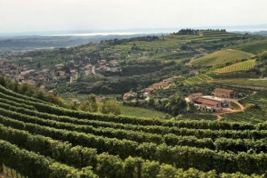 Il futuro dell&rsquo;Amarone della Valpolicella, tra i pi&ugrave; grandi vini d&rsquo;Italia, passa dal ritorno al passato, a vini meno potenti e pi&ugrave; eleganti, ma anche da una nuova comunicazione del territorio, che va fatto toccare con mano agli appassionati