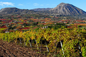 I vini della Campania crescono in visibilit&agrave;, ma la Campania del vino? Tante diversit&agrave;, forse troppe, rischiano di parcellizzare risorse e sforzi per far crescere la notoriet&agrave; di un sistema produttivo dalle radici antiche, che guarda la futuro