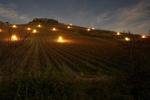 Un augurio di buon anno nel segno del vino e dell&rsquo;arte, con la suggestione di &ldquo;Luci in Vigna&rdquo;, l&rsquo;istallazione artistica tra i vigneti &ldquo;in letargo&rdquo; pensata dalla storica realt&agrave; chiantigiana Cecchi, guidata da Cesare ed Andrea Cecchi