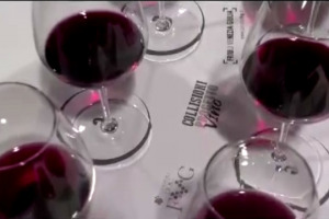 Raccontare agli esperti del mondo un territorio con i suoi vini tipici, ma meno conosciuti: il &ldquo;Progetto Vino&rdquo; di Collisioni ha puntato sui rossi del Friuli Venezia Giulia, celebre per i Bianchi. A WineNews il coordinatore del progetto Ian d&rsquo;Agata
