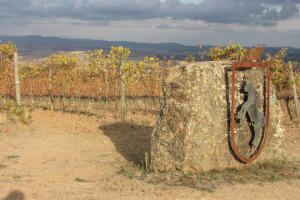 Italia Paese di grandi vini. Non &egrave; una novit&agrave;, ma dalla Top 100 Cellar Selections 2017 di Wine Enthusiast arriva una felice conferma: in cima alla classifica dei migliori vini da conservare in cantina, il Brunello di Montalcino 2012 di Conti Costanti