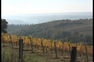 L&rsquo;ancestrale legame tra Etruschi e vino rinasce ad Orvieto nel segno dell&rsquo;innovazione: nelle grotte etrusche della collina di Decugnano nascono le bollicine umbre che riposano in tombe e depositi recuperati dell&rsquo;antica civilt&agrave; di Etruria
