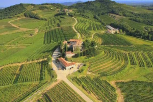 Quando le assicurazioni investono in agricoltura: il caso Genagricola (760 ettari di vigneto su 14.000 complessivi) del Gruppo Generali. A WineNews l&rsquo;ad Generali Italian Donnet: &ldquo;per noi &egrave; diversificazione di investimento&rdquo;