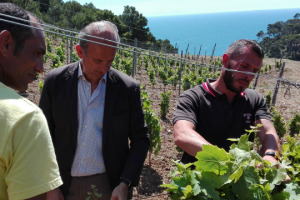 Sull&rsquo;Isola di Gorgona, nasce un vino denso di significato, frutto di un progetto che coinvolge una delle grandi griffe del vino italiano, Frescobaldi, e l&rsquo;Istituto di Pena dell&rsquo;Isola, dove la speranza prende forma attraverso il lavoro in vigna