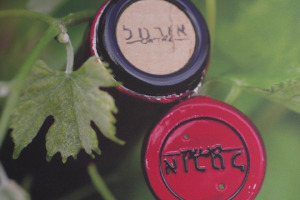 Il mercato del vino di Israele, nel cuore del medio oriente, &egrave; tra i pi&ugrave; complessi del mondo. Il consumo medio non supera i 6 litri pro capite annui, l&rsquo;import &egrave; ancora basso (30%), e la vera sfida per il futuro &egrave; sulle spalle dei piccoli produttori