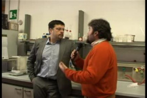 Se l&rsquo;abito non fa il monaco, il tappo non fa il vino. Ovvero, non &egrave; detto che un tappo sintetico o a vite debba essere per forza destinato ad un vino scadente, e che uno di sughero sia garanzia di grande vino. I casi di studio di Masi Agricola