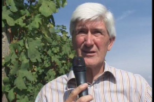 C&rsquo;&egrave; una viticoltura, in Italia, davvero eroica, e i cui frutti sono spesso eccellenti, ma di cui si parla pochissimo: &egrave; quella della Valtellina, con i suoi vigneti in grande pendenza o terrazzati, con il suo sfurzat e non solo