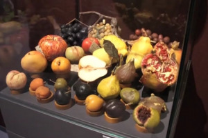 &ldquo;Il vino &egrave; un bene culturale, almeno per alcuni popoli, perch&eacute; percepito come elemento fondamentale dell&rsquo;identit&agrave;, come del resto &egrave; la cultura gastronomica&rdquo;. Cos&igrave; Massimo Montanari, uno dei massimi storici dell&rsquo;alimentazione a livello internazionale